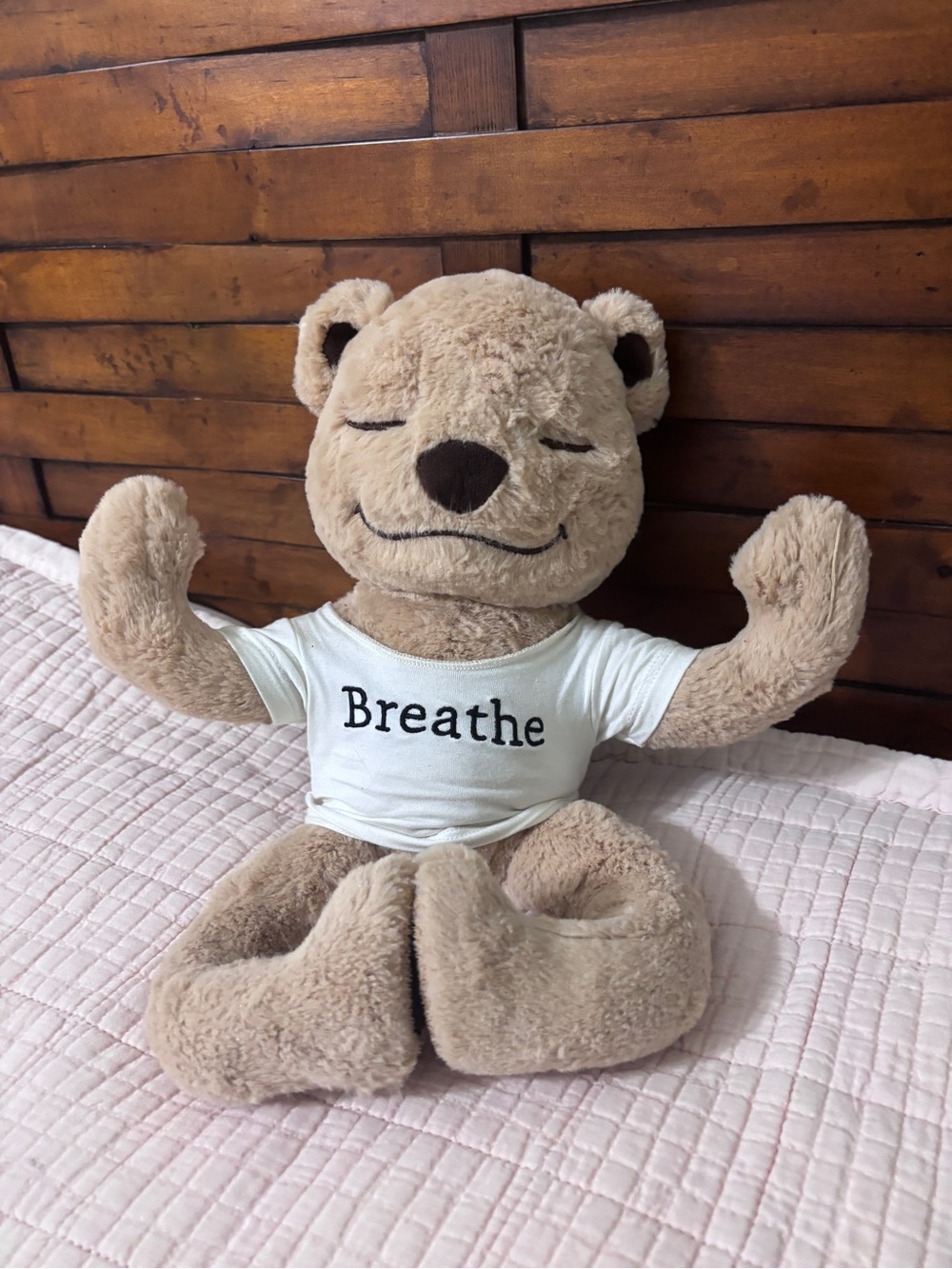 Meddy Teddy Plush Flexible Stuffed Bear